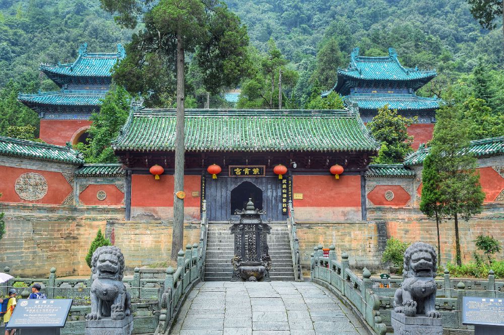 盘锦的AICRM。魏则西最后的愿望终于实现了，60岁的父母供卵试管婴儿