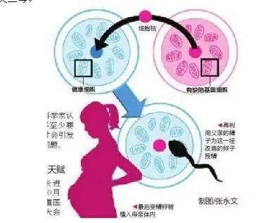 辽宁盘锦哪家医院做供卵试管婴儿的成功率最高？