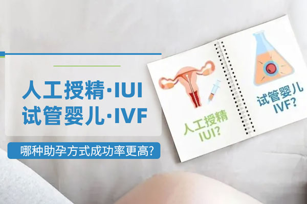 辽宁做借卵试管婴儿医院在那个区