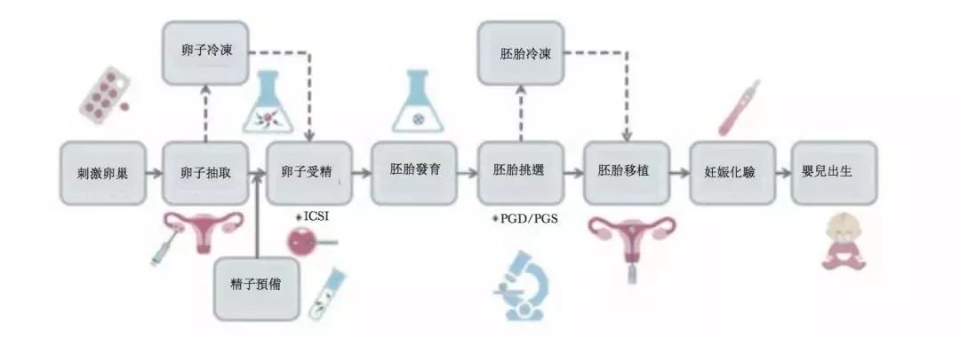 借卵做试管婴儿取卵后什么时候受精