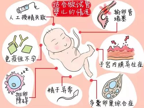 辽宁供卵试管婴儿哪里医院最好多少钱