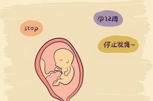 供卵做试管做什么检查很贵