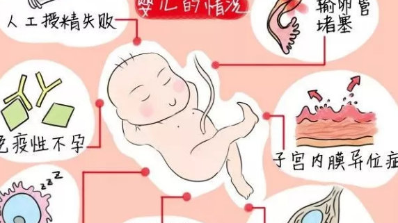 供卵做试管做什么检查很贵