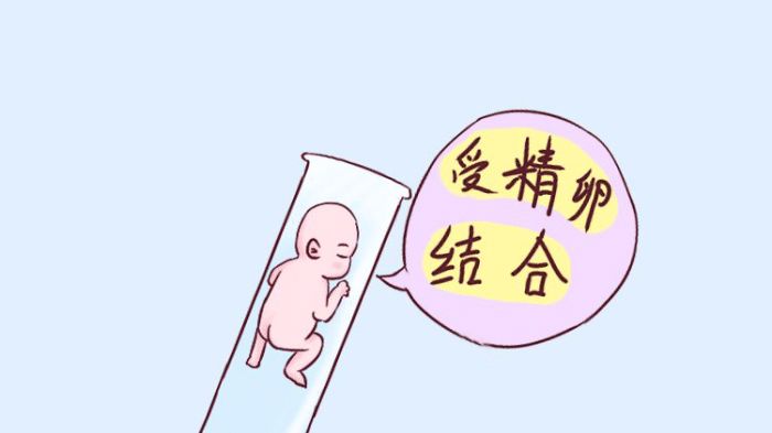 三代试管婴儿费用价目表