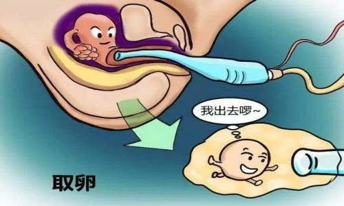 三代试管婴儿费用价目表