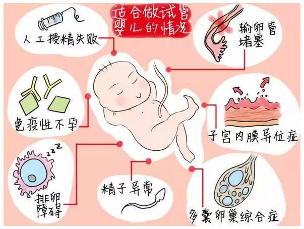 辽宁试管婴儿治疗有哪些老医院