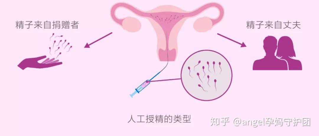 试管移植成功怀孕三个月稳定了吗