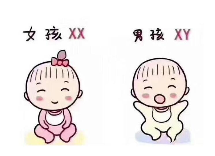 做试管婴儿男性需要注意什么
