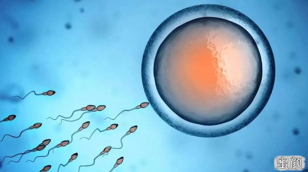 辽宁有多少试管宝宝？做第三代哪里有代怀生子的好处有哪些？