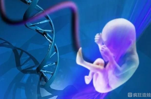 第三代试管生子代怀促排期间会遇到什么问题呢？试管专家来为您解答
