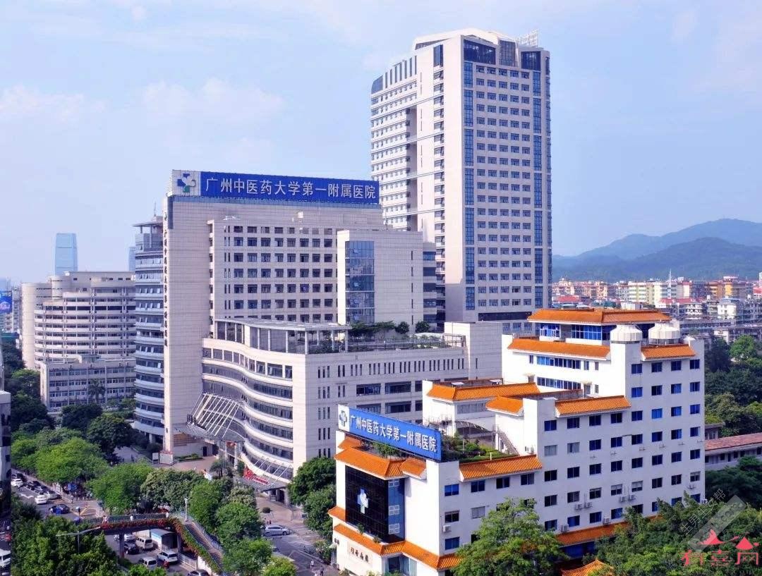 沈阳做个专业试管代怀公司费用大概要多少