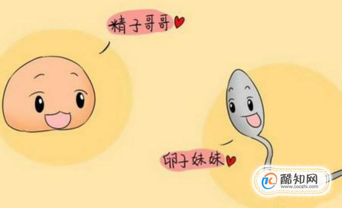 沈阳试管代生孩子多少钱最好医院排名？附成功率及医院名单？