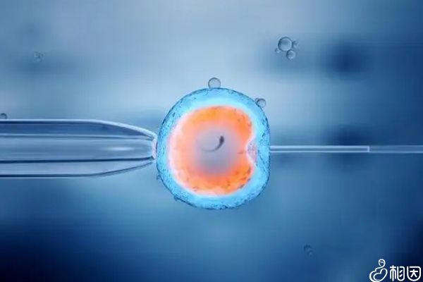 妇幼试管价格+沈阳妇幼试管三代价格