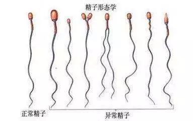 试管促排期间的睡姿