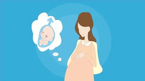 试管代怀生子代怀瘦人可以做吗_试管代怀有多少费用技术所有人都可以做吗