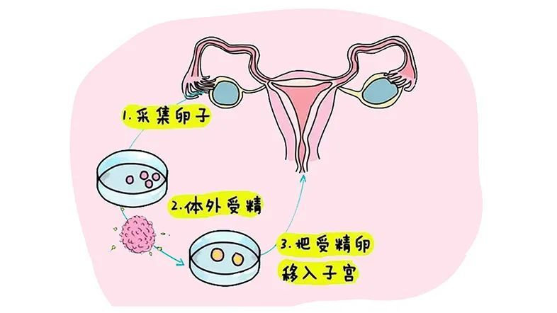 辽宁沈阳省试管生殖医院排名榜单,十家试管医院可供选择!
