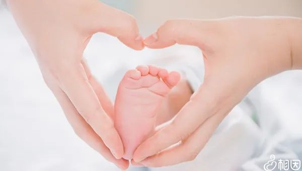 辽宁试管代怀费用有补助吗（贫困户优生代怀包男孩婴儿有补助吗？）