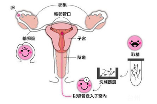 沈阳市妇女儿童医院试管费用与成功率如何