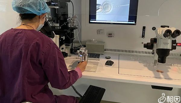 2024辽宁沈阳省妇幼保健院代怀可以选择性别吗生男孩费用一览附试管代怀费用@好帮手条件介绍