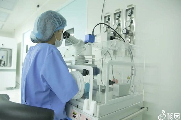 不成熟卵泡取出来能试管选性别吗（试管卵子不成熟原因？）