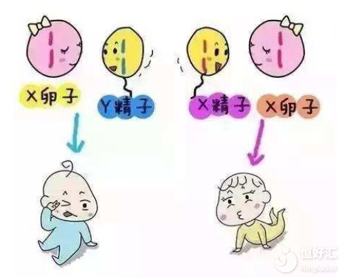 辽宁不孕不育症医院供卵试管代怀的机构婴儿全流程需要多少钱
