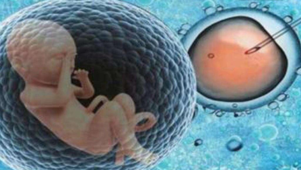 怎样借名人精子库