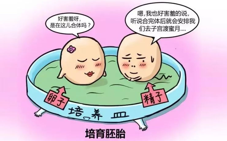 2024辽宁辽宁沈阳医院哪个医院能试管代怀流程（附费用、成功率参考）