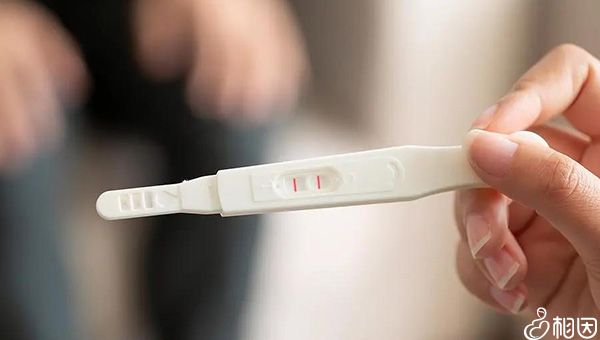 辽宁哪些医院可以代怀孩子包成功婴儿（除了辽宁久和医院还有这些）