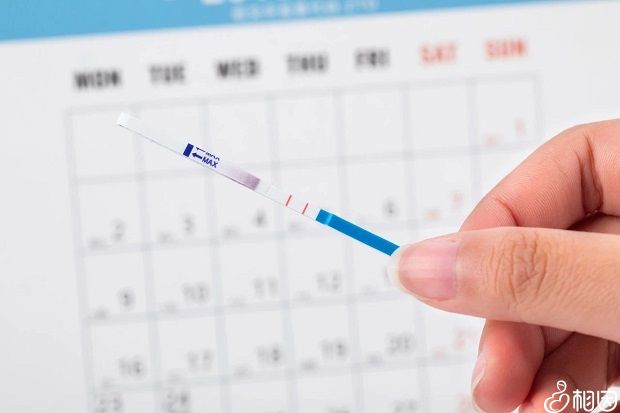 代怀选性别包生男孩长方案是怎么做的