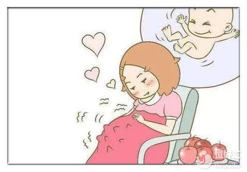 2024辽宁省妇幼保健院代怀女孩包成功生龙凤胎费用全新解析
