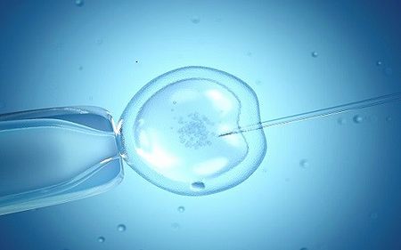 2024辽宁试管技术最好的医院排名中占前三是哪些