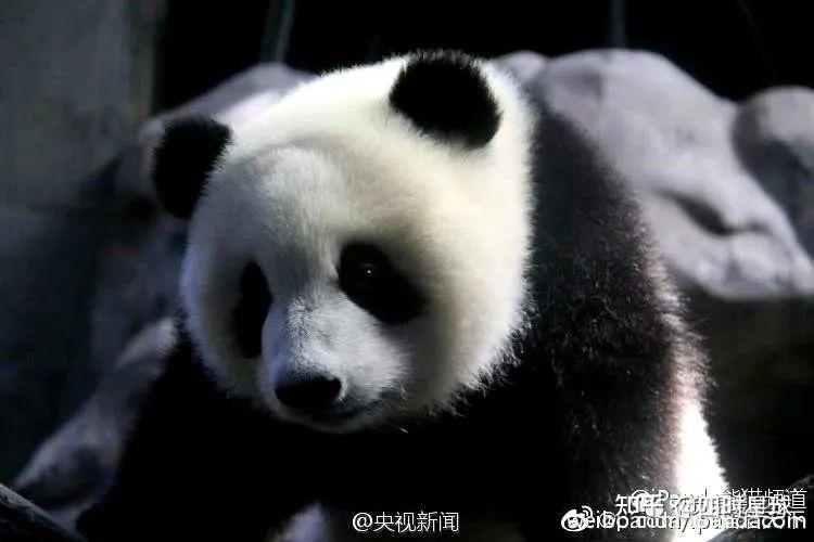 辽宁三代试管医院哪家好（备孕压力大咋办？）