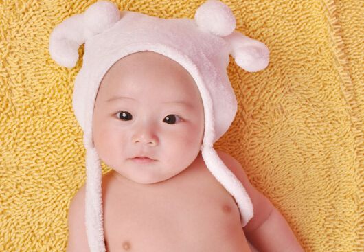 试管移植的费用是多少+试管生子助孕移植费用是多少