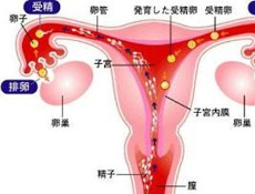2024年沈阳试管代生男孩费用包含哪些