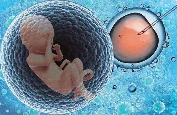 2024选择去辽宁沈阳试管代生供卵婴儿费用要多少